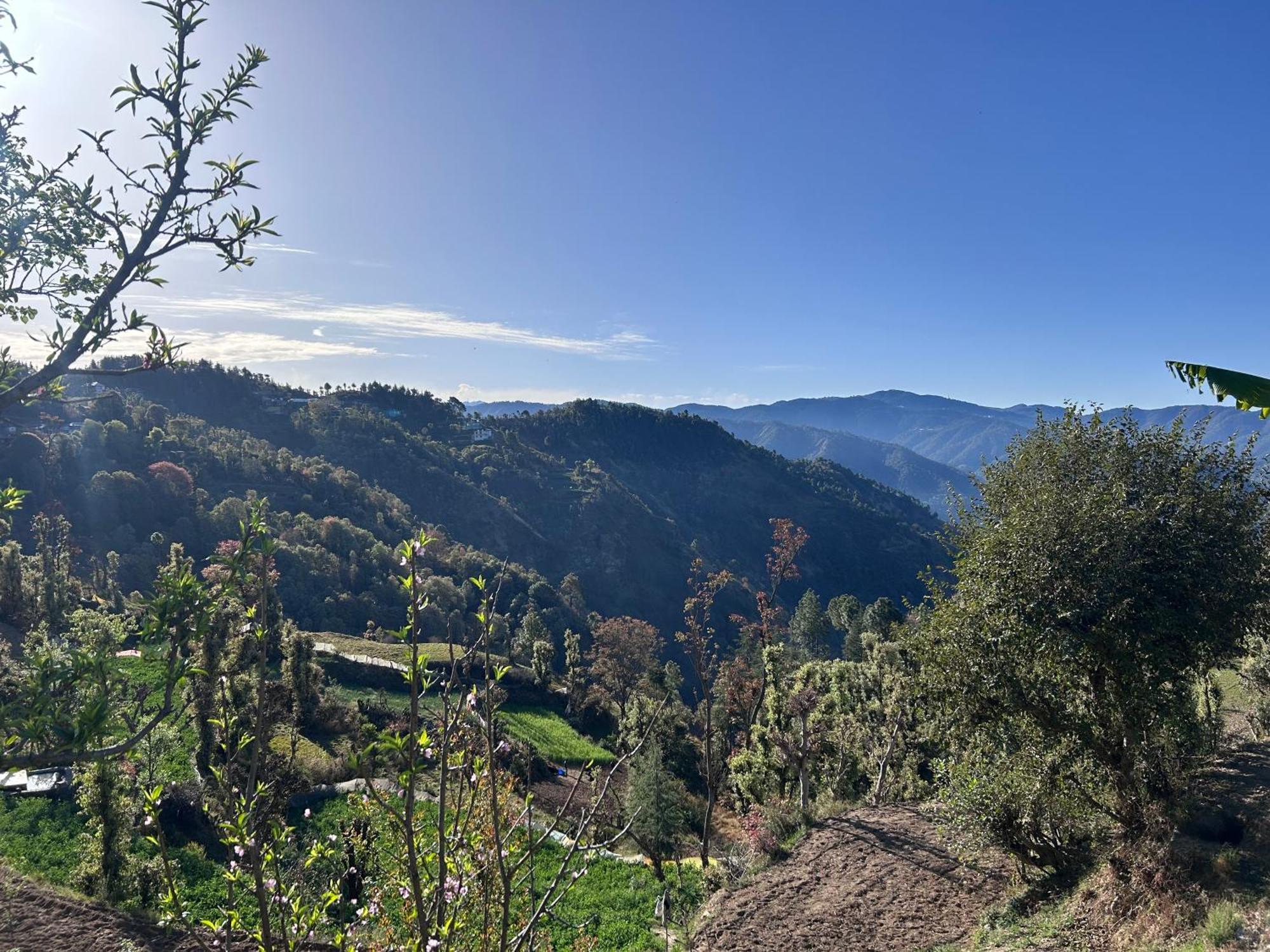 Shalom Hillcrest Inn Shimla Exterior photo